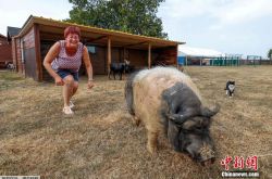 世界観・アメリカのディープショット|ロシアとウクライナの紛争のためにシャンパンをポップしているのは誰ですか？