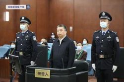 Sanya Municipal PartyCommitteeの元書記であるTongDaochiは、2億7400万の賄賂を受け取ったとして死刑を宣告されました。