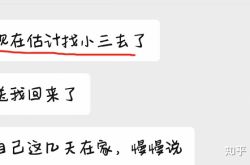 夫は結婚した愛人を何度も騙し、愛人は横暴でした。 （私の前のものを補足するために）？