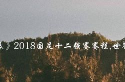 「チャイナフットボールトップ12スケジュール」2018ナショナルフットボールトップ12スケジュール、ワールドカップ予選トップ12スケジュール