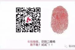 石油価格は再び上昇していますか？または、新記録の高値を設定し続ける