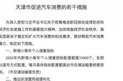 天津市促进汽车消费的若干措施(新增发3.5万个小客车指标)