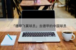 「ブンデスリーガウィング選手」ブンデスリーガに行った中国人選手