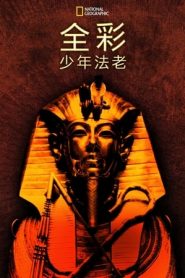 【直链】电影《全彩少年法老（2021）》 - 1080P/720P高清HD下载