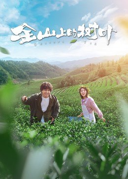 【直链】电影《金山上的树叶（2022）》 - 1080P/720P高清HD下载