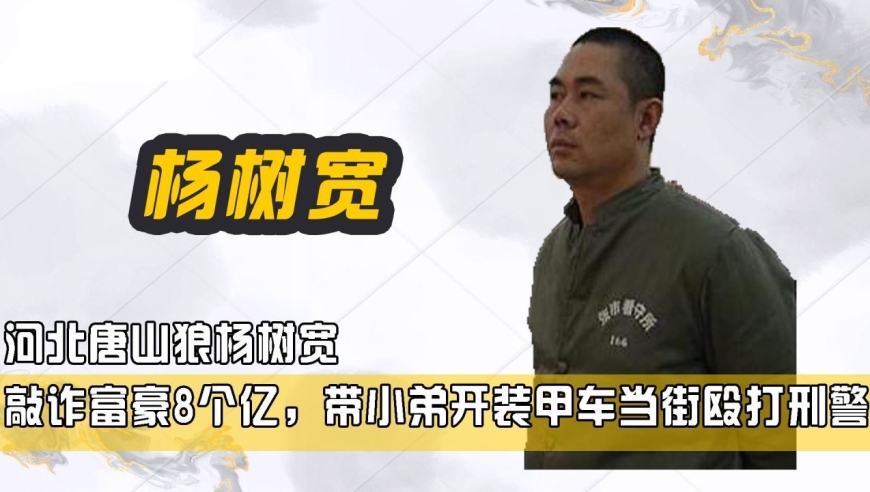 河北唐山狼杨树宽,敲诈富豪8个亿,带小弟开装甲车当街殴打刑警