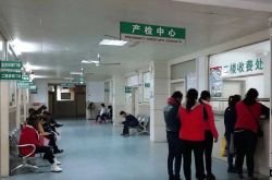 2002年、河北省の妊婦が五つ子を出産しましたが、19年後、なぜ「誰もいないはず」と言ったのです。