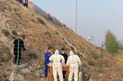 流行の下で、「カントリースタイル」の道路救助