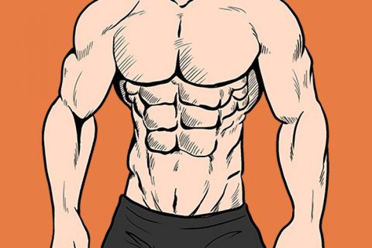 How to get abdominal muscles fast