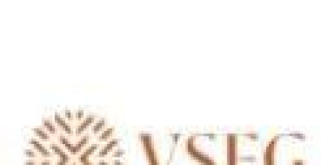 持有1、4、9号牌照的“VSFG 意博金融”，再次在港交所递交招股书，拟香港IPO上市_腾讯新闻