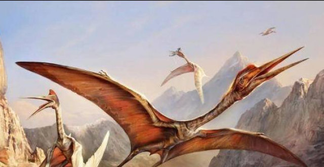 原来翼龙并不是恐龙,有翅膀却是爬行动物.