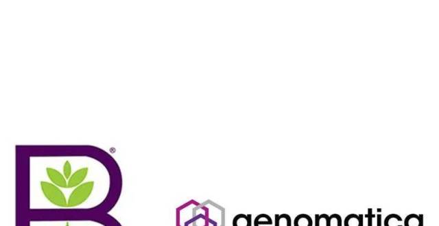 联合利华和Genomatica启动棕榈油替代品合资企业，承诺投资1.2亿美元_腾讯新闻