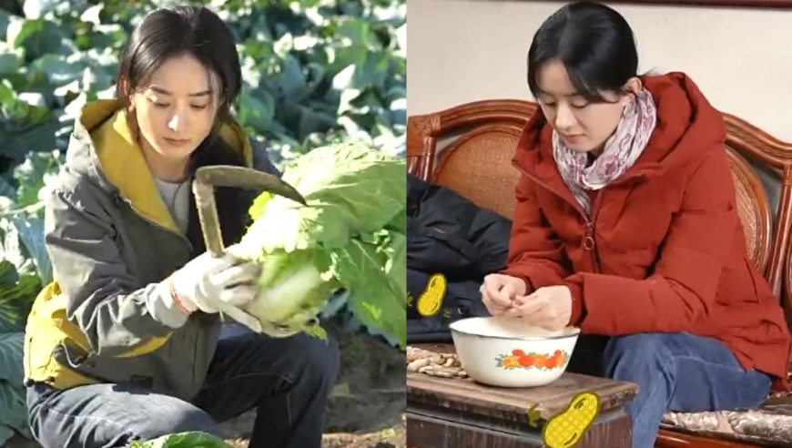 赵丽颖干活好麻利!新剧《幸福到万家》忙不停,角色塑造好贴脸