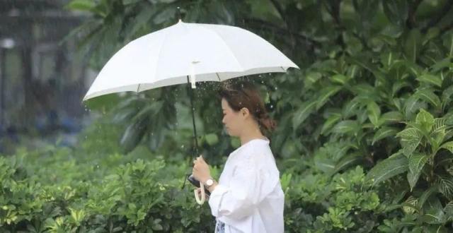 热热热＋雨雨雨！珠海开启“蒸桑拿”模式_腾讯新闻