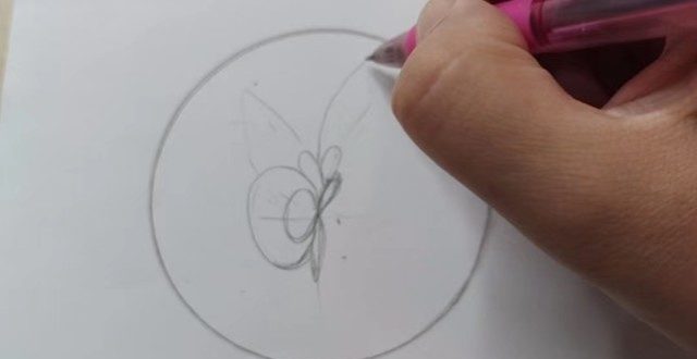 彩铅画蓝色菜粉蝶的绘画详细步骤!