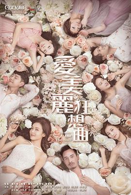 爱美丽狂想曲(粤语版)