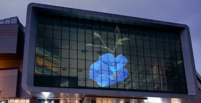 联曼为您解答玻璃幕墙led透明屏多少钱一平方?