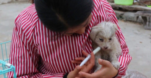 醉美农舍最新文章