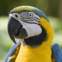 灵异电话测试拨通后会出现80年代播音员声音