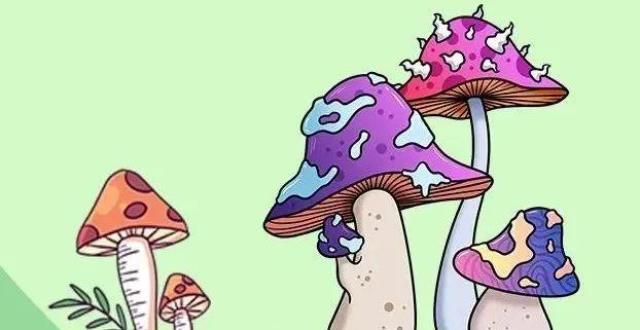 【创城在行动】"红伞伞,白杆杆,吃完一起躺板板……"野生毒蘑菇你可