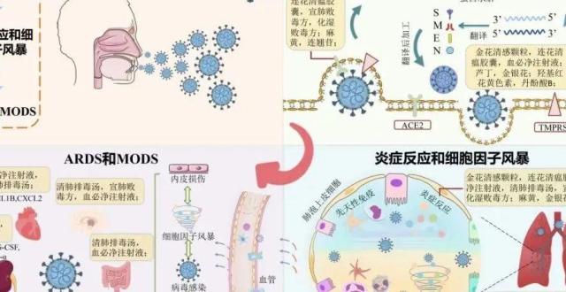 “三药三方”治疗COVID-19的作用原理_腾讯新闻