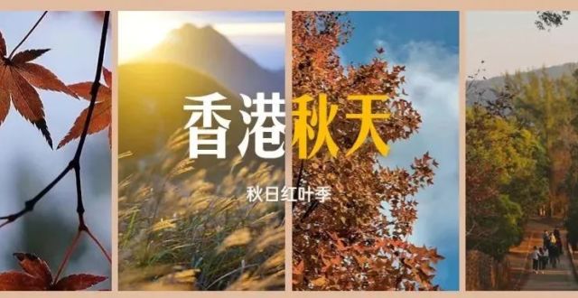 香港的秋天这么美的吗？_腾讯新闻