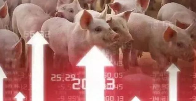 月收入创近1年新高！“猪茅”牧原10月销售再报喜：环比量价齐升