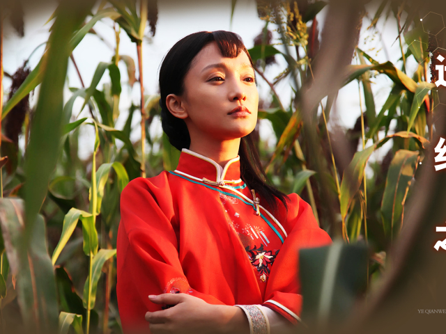 红高粱:周迅因朱亚文受伤,导演拉秦海璐进组,竟是为制衡女主?