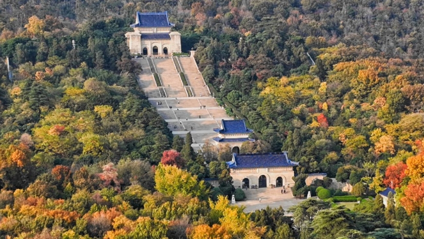 中山陵最美秋景悄然而至