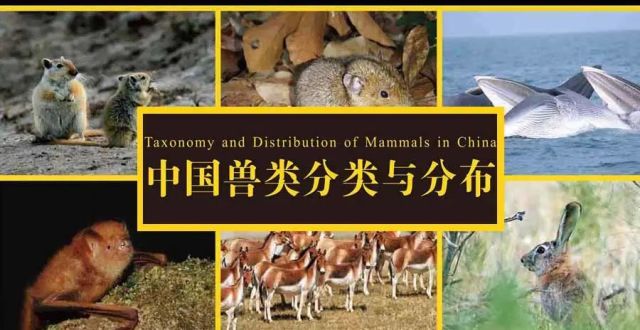 我国历代兽类学工作者集体智慧的结晶：《中国兽类分类与分布》_腾讯新闻