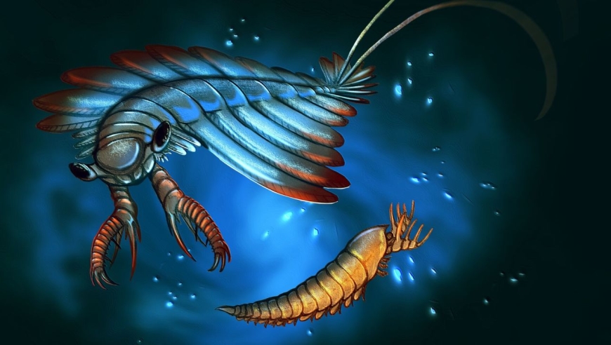 2022年恐虾纲最新研究成果!终结这些年频繁出现的关于恐虾的谣言