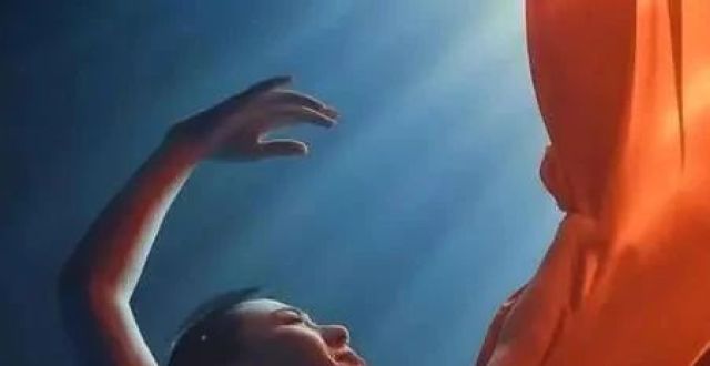 深圳文艺家丨张娅姝：舞蹈与我，是挚友_腾讯新闻