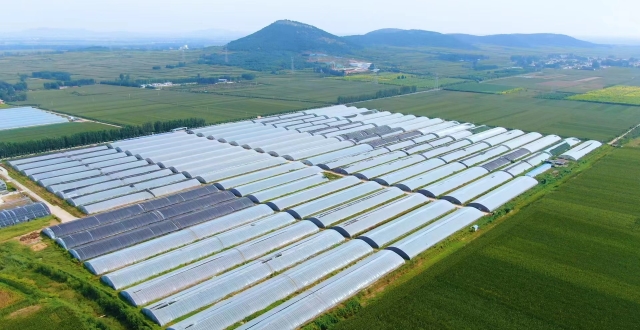 东平县梯门镇“露天党委”让荒地不再荒_腾讯新闻