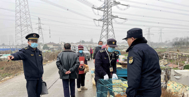 路边宰杀贩卖活禽 执法部门迅速查处_腾讯新闻