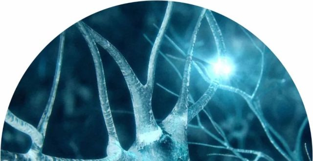 Cell：杨大平博士等发现疼痛具有意料之外的直接保护作用_腾讯新闻