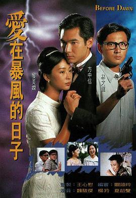 爱在暴风的日子(粤语版)