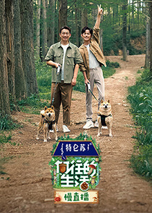 向往的生活 第七季慢直播