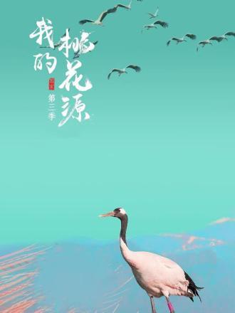 我的桃花源 第三季