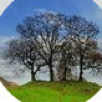 女明星走红毯直接穿貂皮大衣,谁说红毯一定要