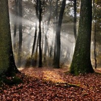 奔跑吧兄弟 霍思燕李晨一同进门 杜江儿子竟然