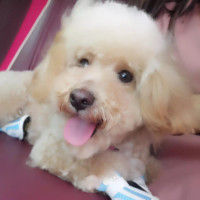 国家散打队队长吃什么伙食?