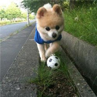 大海里钓鱼,用金枪鱼做诱饵,钓上来的能吃一星