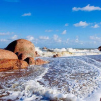 这个半自动洗澡机太厉害了!有卖吗?