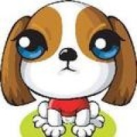 男主人偷偷藏的私房钱,竟然被金毛犬轮胎这样