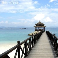 两只老虎爱跳舞 《宝贝宝贝》