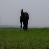 云南 贵州山歌:李赛萍 陈俊 《总溪河边最有名》