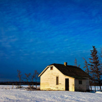 世界上真的有美人鱼吗?这些珍贵的视频资料让