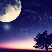 国考公务员结构化面试现场 策划禁止吸烟的活