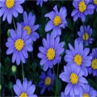 《开讲啦》生物学家颜宁_腾讯视频