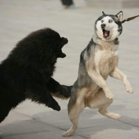 快手超火歌曲,八年的爱,超感人mv